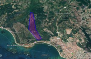 WhatsApp-Image-2025-06-12-at-14.22.05