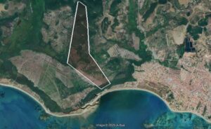 WhatsApp-Image-2025-06-12-at-14.22.06