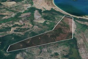 WhatsApp-Image-2025-06-12-at-14.22.07-1