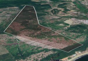 WhatsApp-Image-2025-06-12-at-14.22.07-2