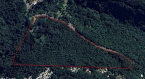 WhatsApp-Image-2025-06-12-at-14.23.58